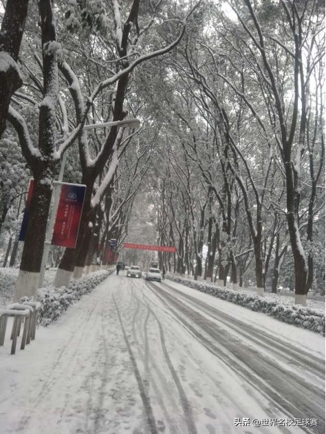 叮咚！您有一份来自世校赛小哥哥的新年祝福请查收