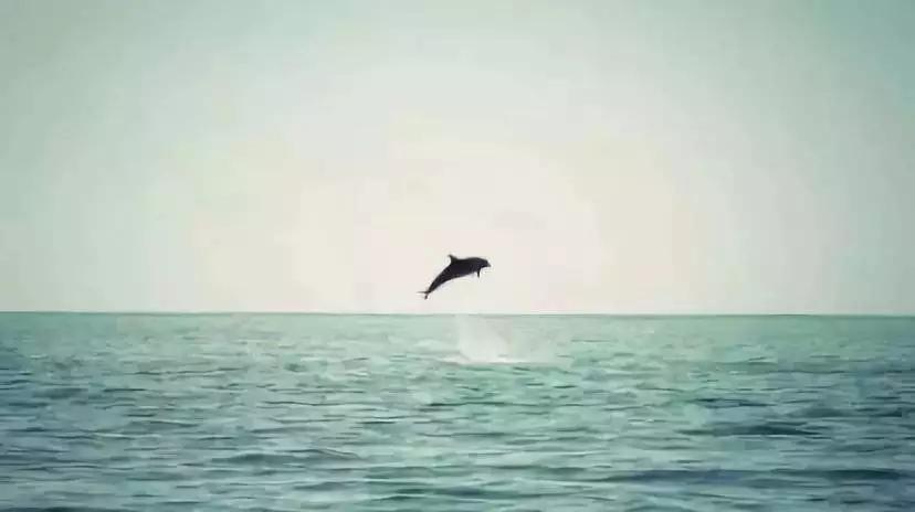 露易丝海生命的重建推荐,露易丝海怎么恢复的