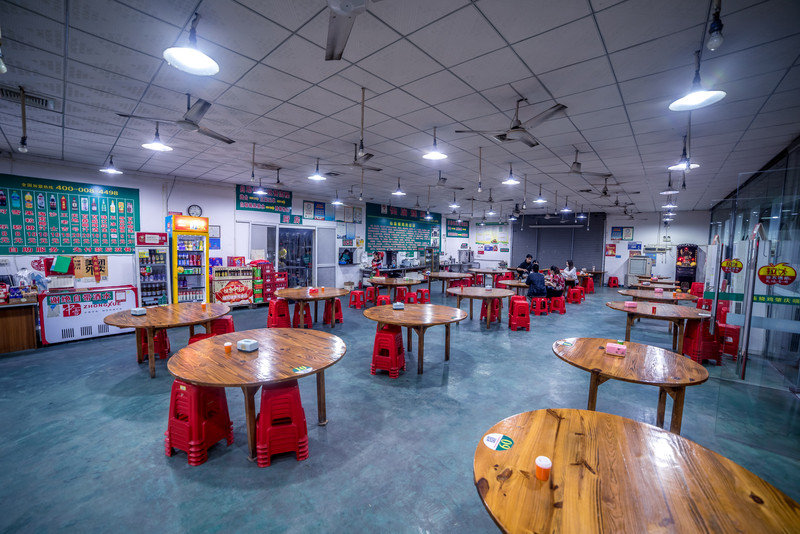 星湖冬日燃情，比落羽杉还要红的是什么？#我和湿地有个约会#