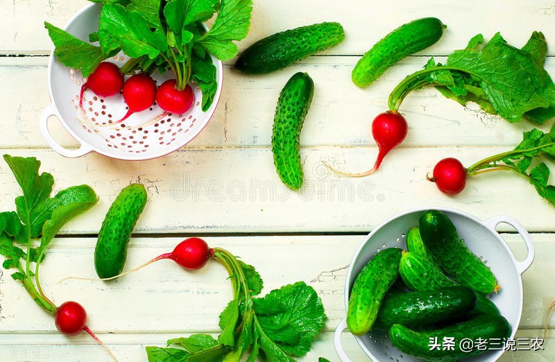 西红柿黄瓜防病,黄瓜番茄防病用啥药解决