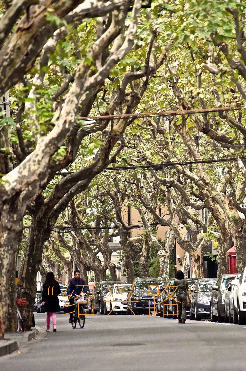 不再喧嚣的上海马路，愿余生不再辜负