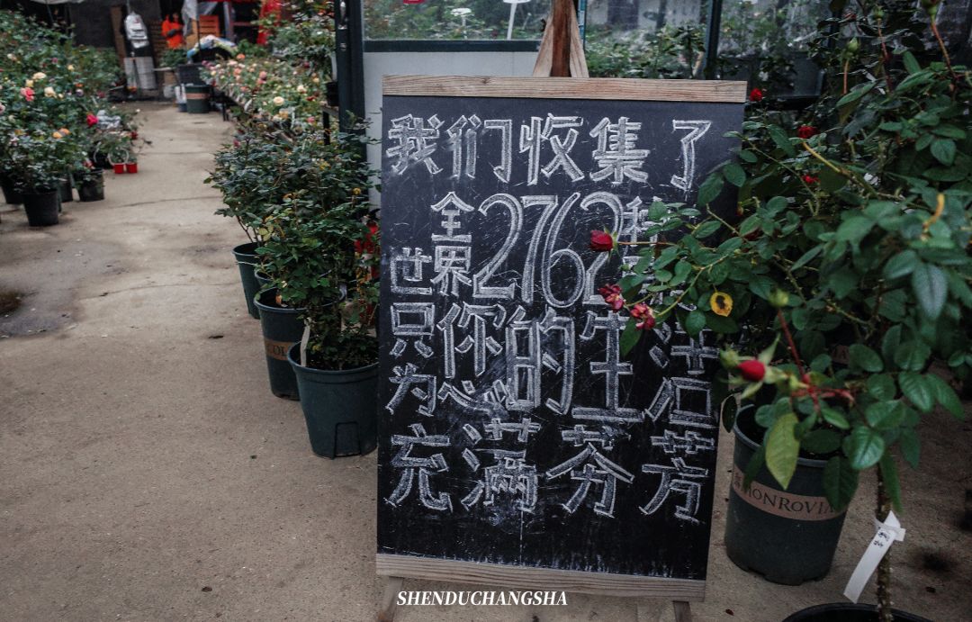 长沙旅游攻略必玩的十大景点介绍,长沙适合秋季打卡的景点