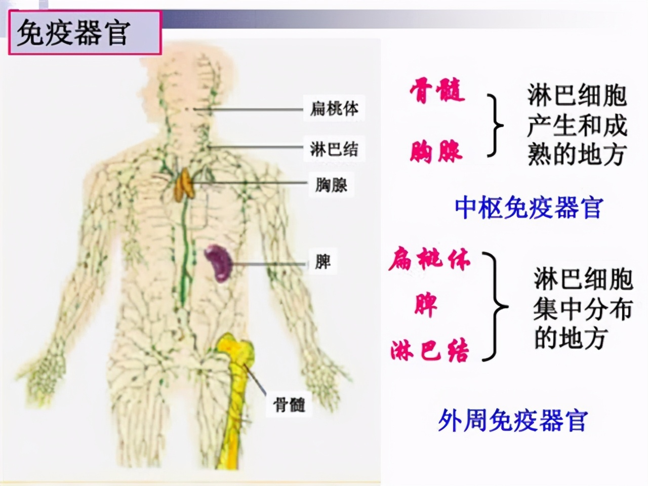 一滴精=十滴血，“精尽人亡”会发生吗？建议男女都了解清楚