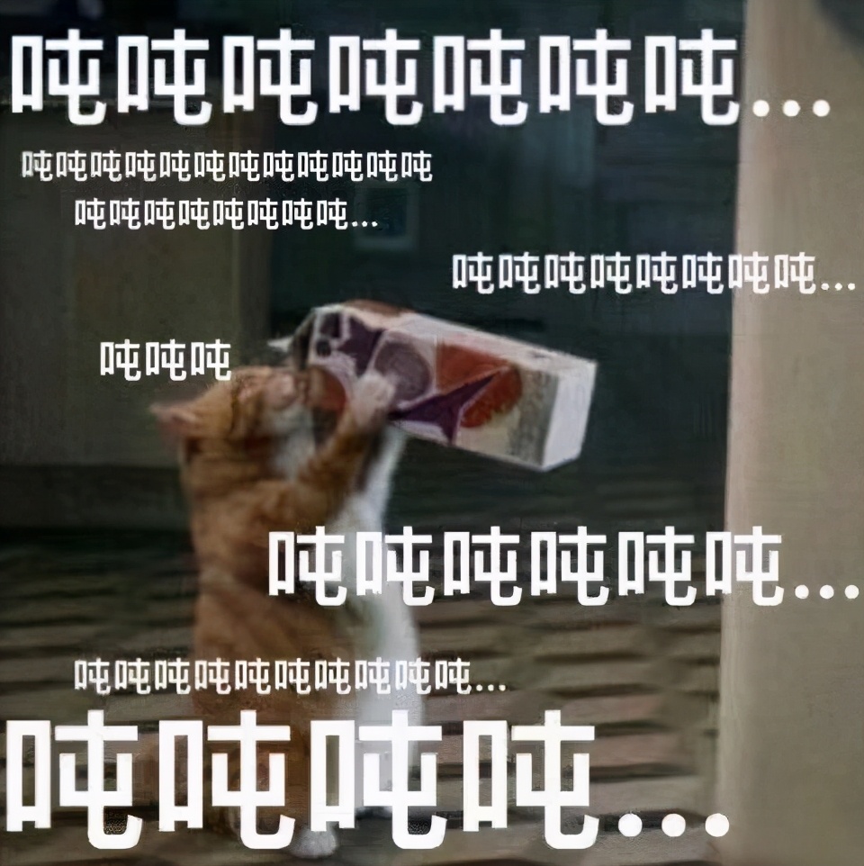 犬羊奶粉和猫羊奶粉,猫的羊奶粉哪个牌子好