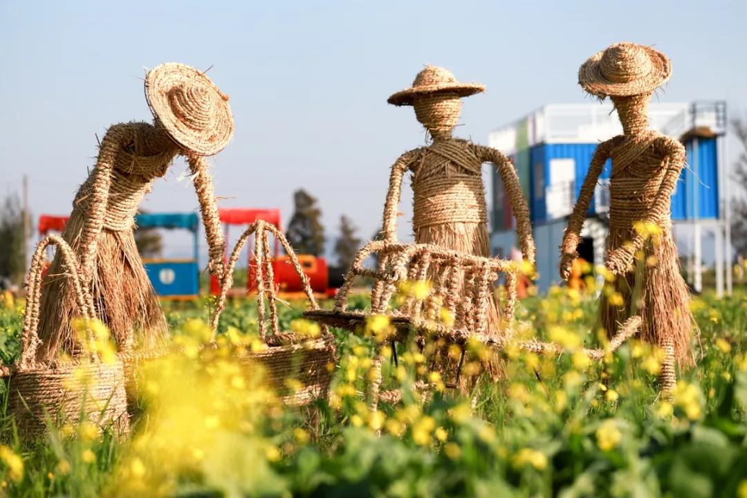 2020美到窒息！珠海的冬天，美炸了