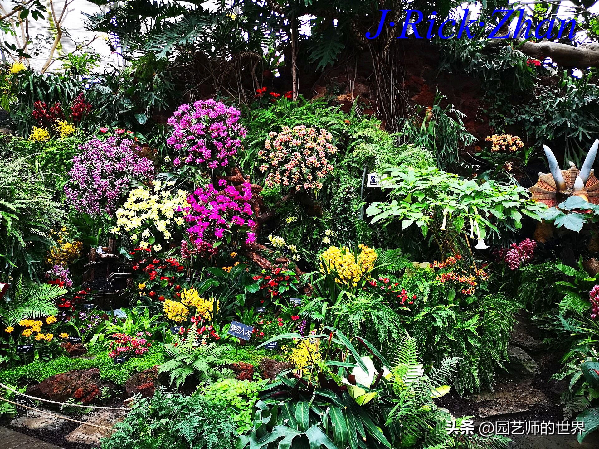 园艺现状和发展前景,园艺研学基地