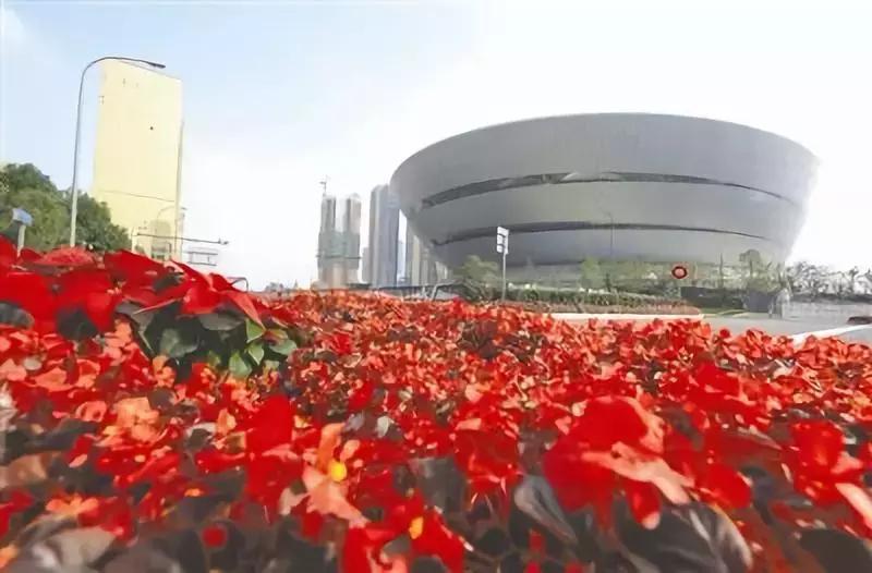 成都艺术地标,成都市锦城艺术宫