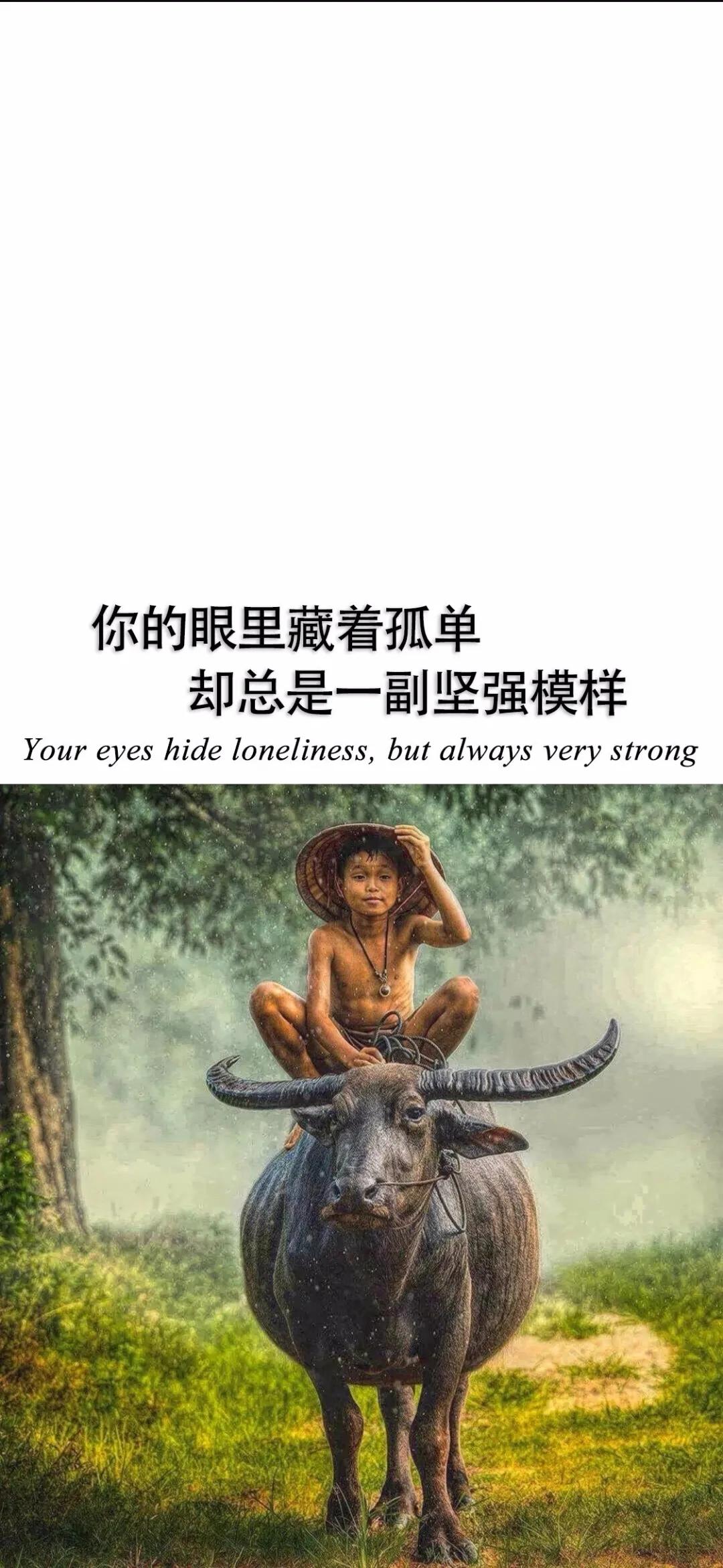 文字壁纸有话好好说,文字壁纸恰如其分的适合你