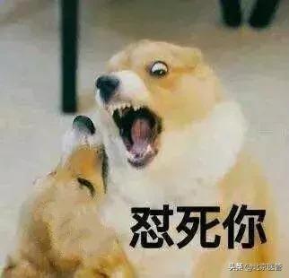 吸烟的害处和摆脱烟瘾的建议,都知道吸烟有害健康但偏偏戒不掉