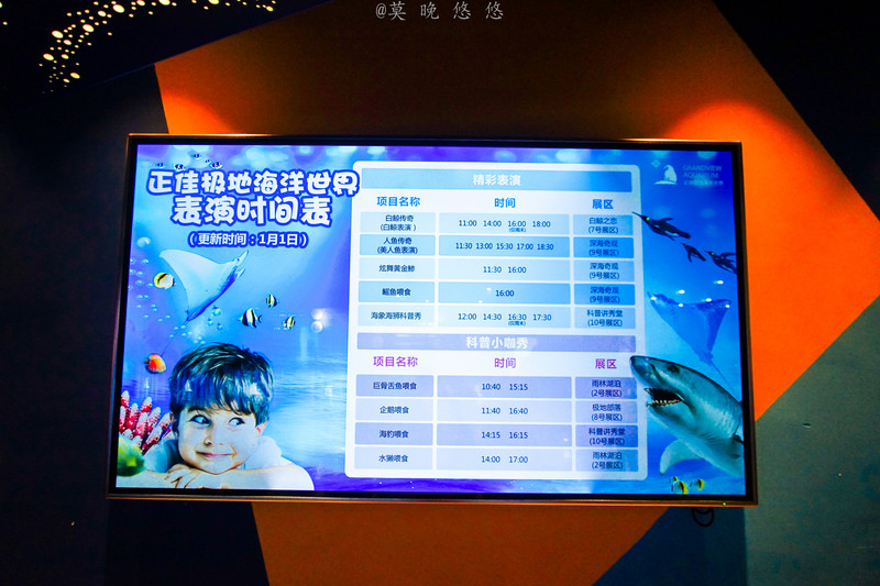 海洋极地海洋世界攻略,正佳极地海洋世界白鲸海象