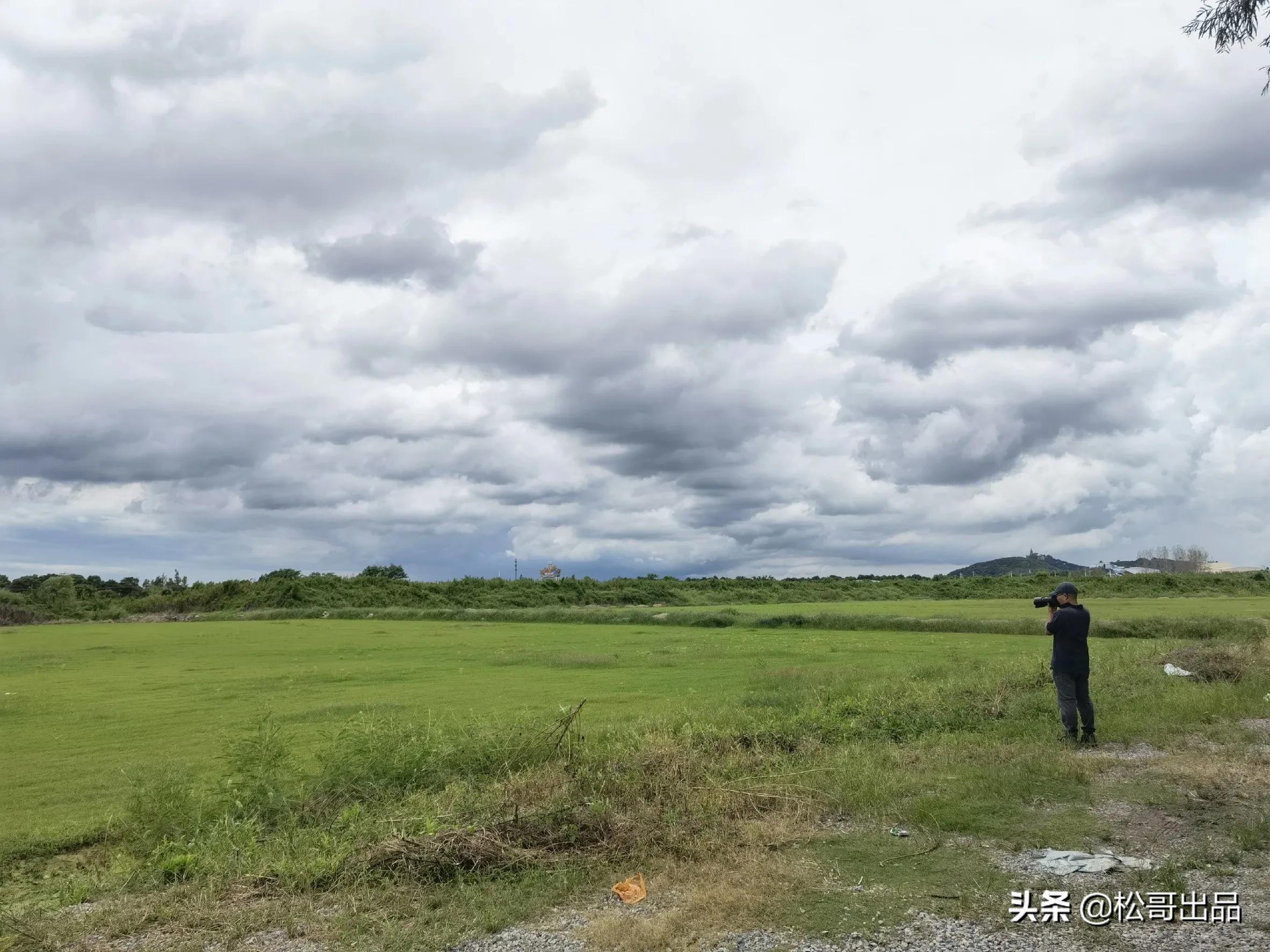 农家田园共享菜园,田园生活乐趣多上海菜园