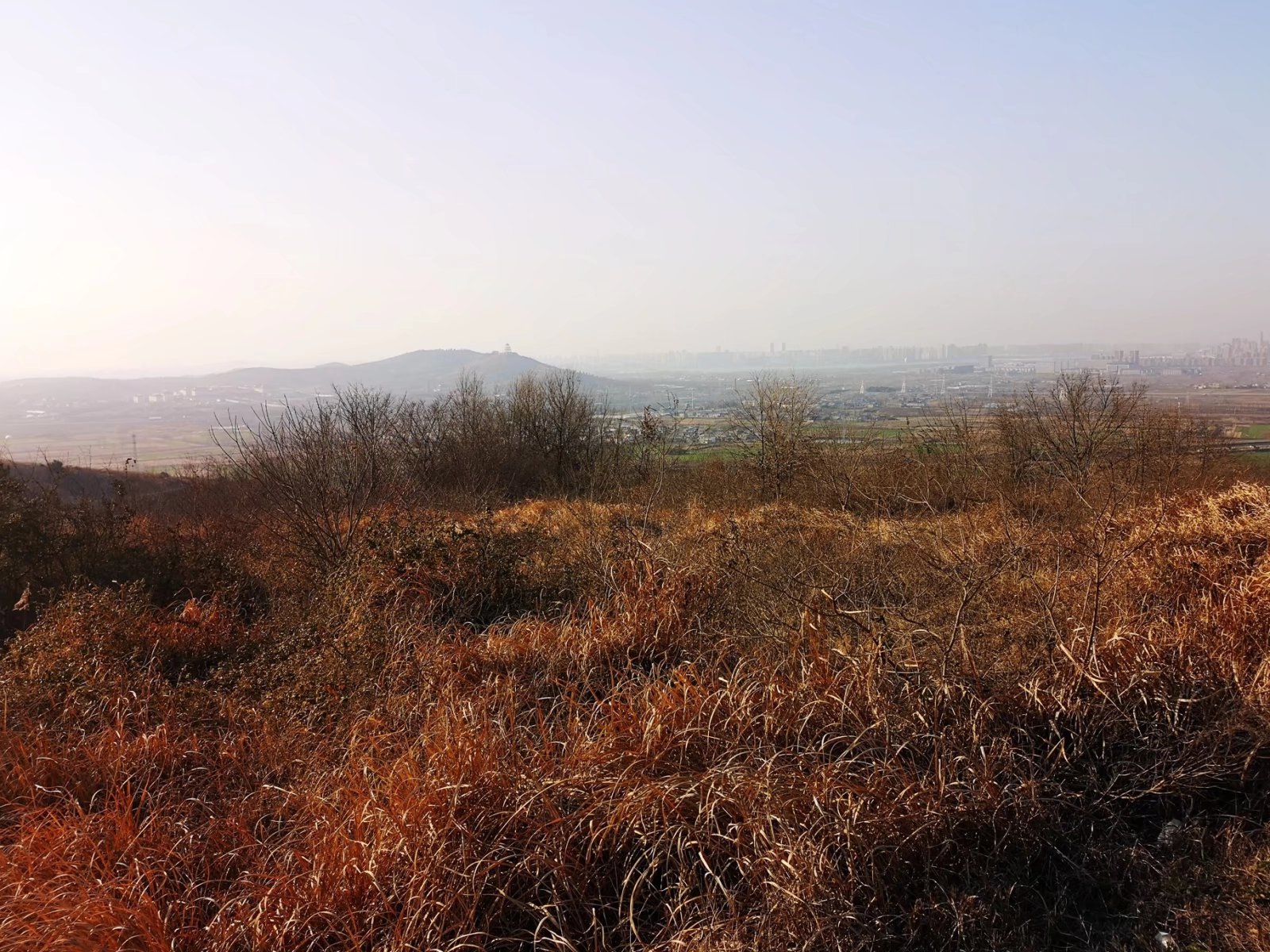 摩托周边旮旯游——探访蚌埠李楼鲁山寺遗址（上）