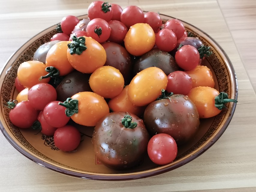 寻甸渔乐谷最新消息,寻甸欢乐世界项目大全