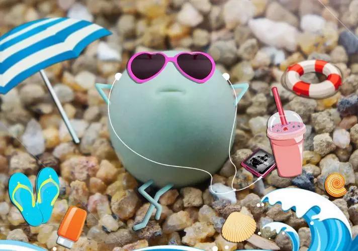 50款最红的多肉一棵多少钱,2021多肉植物掉价最多品种