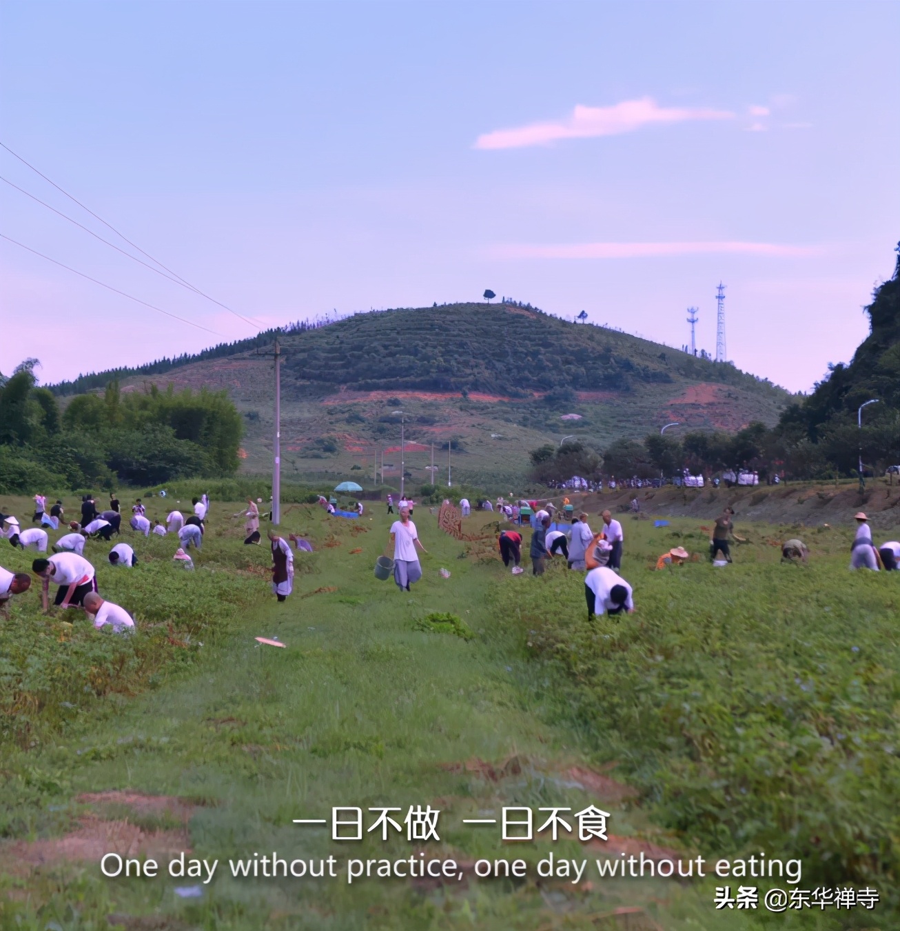 虚空有尽行愿无穷——东华禅寺中英双语宣传片