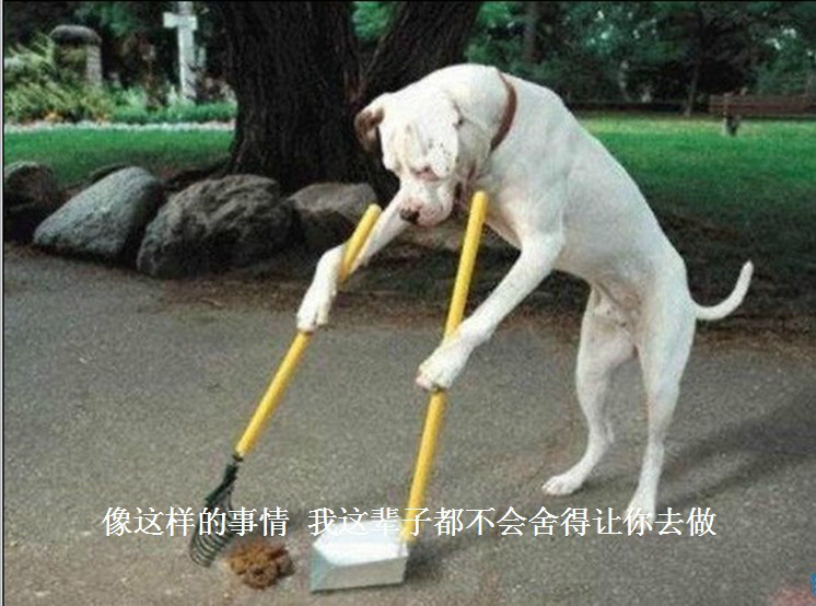 我只想说声爱你,只想再爱你一次