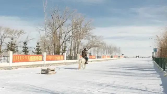 马背上的“代购员”真帅