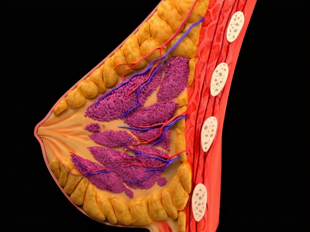 减肥减得胸变小要吃什么恢复,减肥胸越来越小怎么办