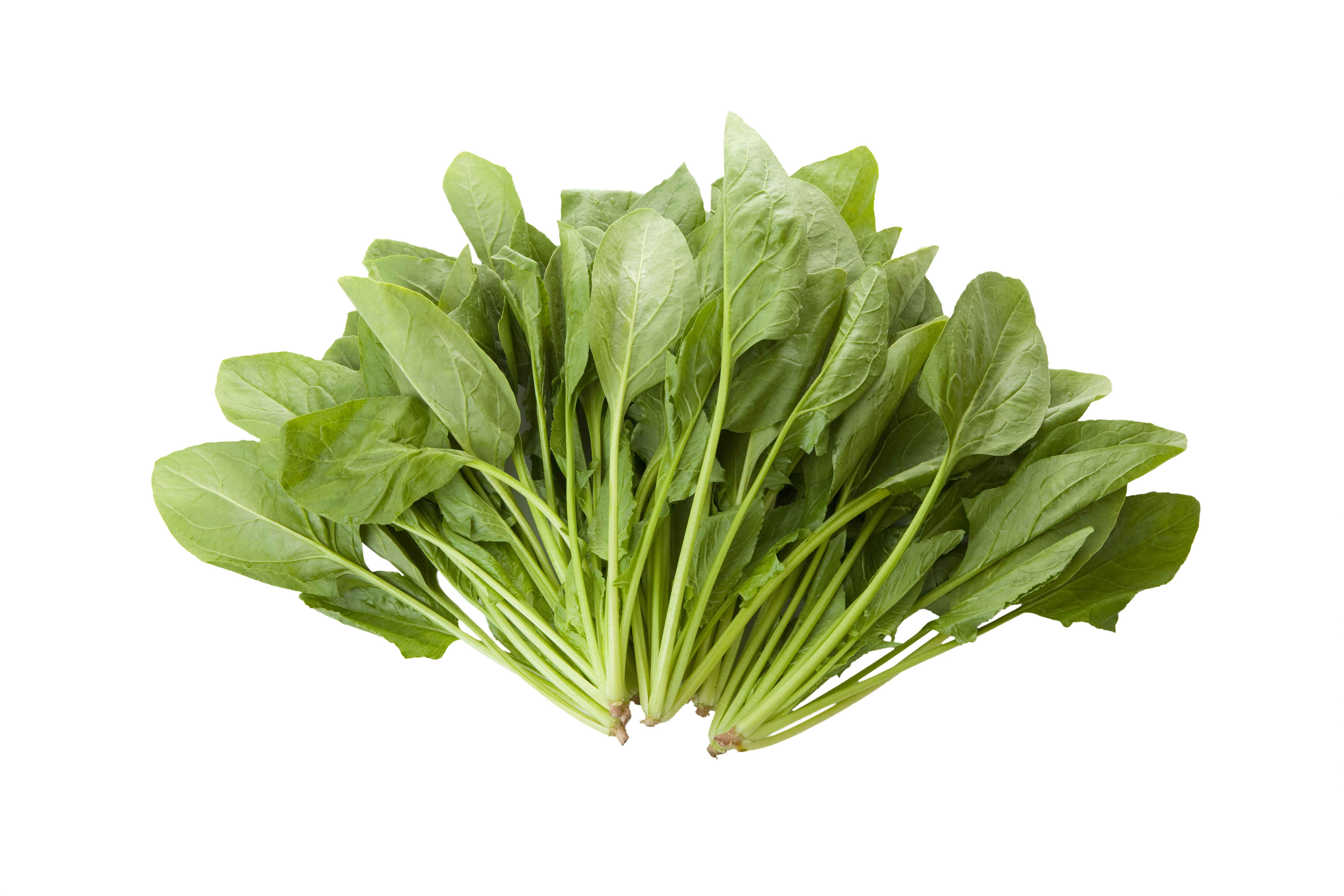 胃不舒服怎么办养胃秘诀了解一下,冬季养胃吃什么食物好