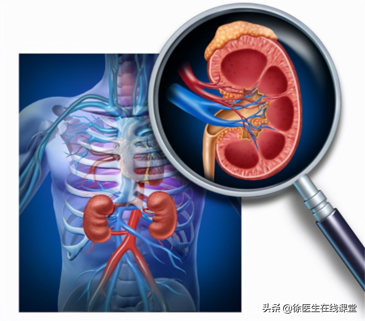 降脂药辛伐他汀和匹伐他汀区别,阿托伐他汀和瑞舒伐他汀降脂比较