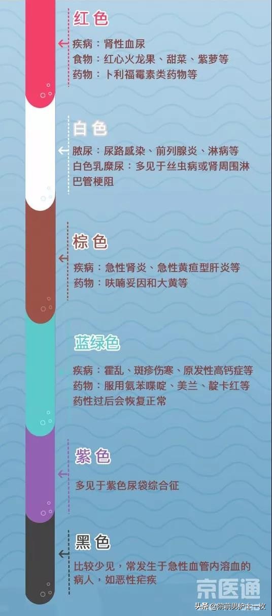 如何读懂尿常规报告单图片,教你如何看懂尿常规报告