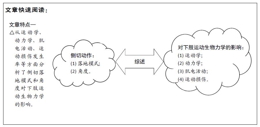 人体运动动作的解剖学分析,人体运动平移和旋转
