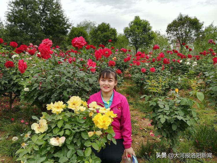 洛阳市第五十八中学公立还是私立,洛阳市第五十八中学官网