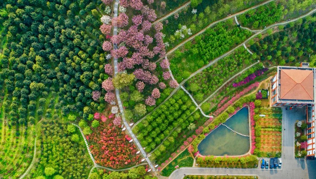 「周忠专栏」晚安家居印象：既沉稳大气，也时尚潮流