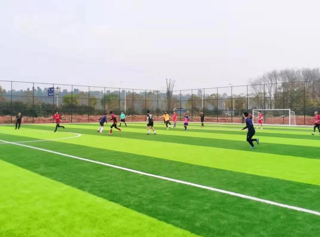 屏山足球场,奔跑吧足球篇的体育场在哪里