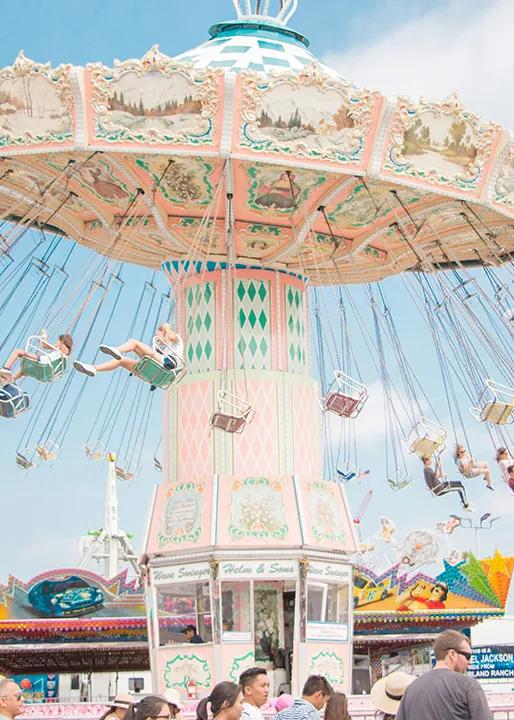 广州现在花开的季节,广州现在什么花开了