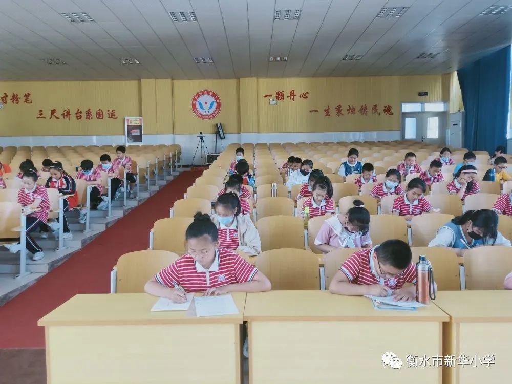 社团活动小学兴趣小组,新华小学三年级参加兴趣小组