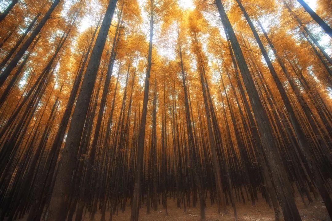 值得收藏两千成语头尾接龙,2000个成语接龙快人快语