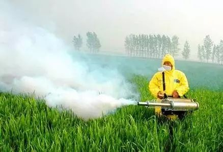 58种杀菌剂图解,杀菌剂都用什么药最好