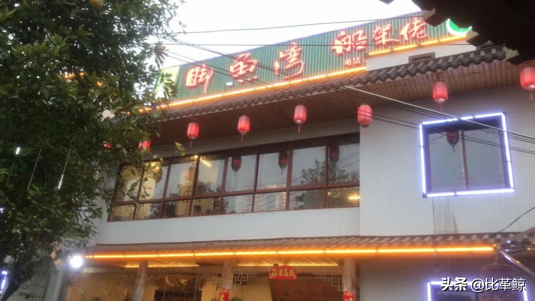 比格鲸和长沙米粉区别,比革鲸和长沙米粉哪个好