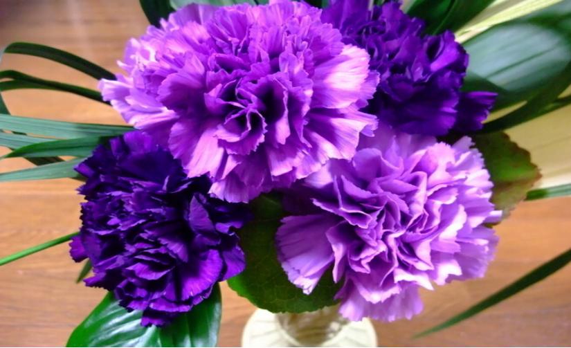 教师节儿童画康乃馨,八岁小孩画简单教师节的绘画