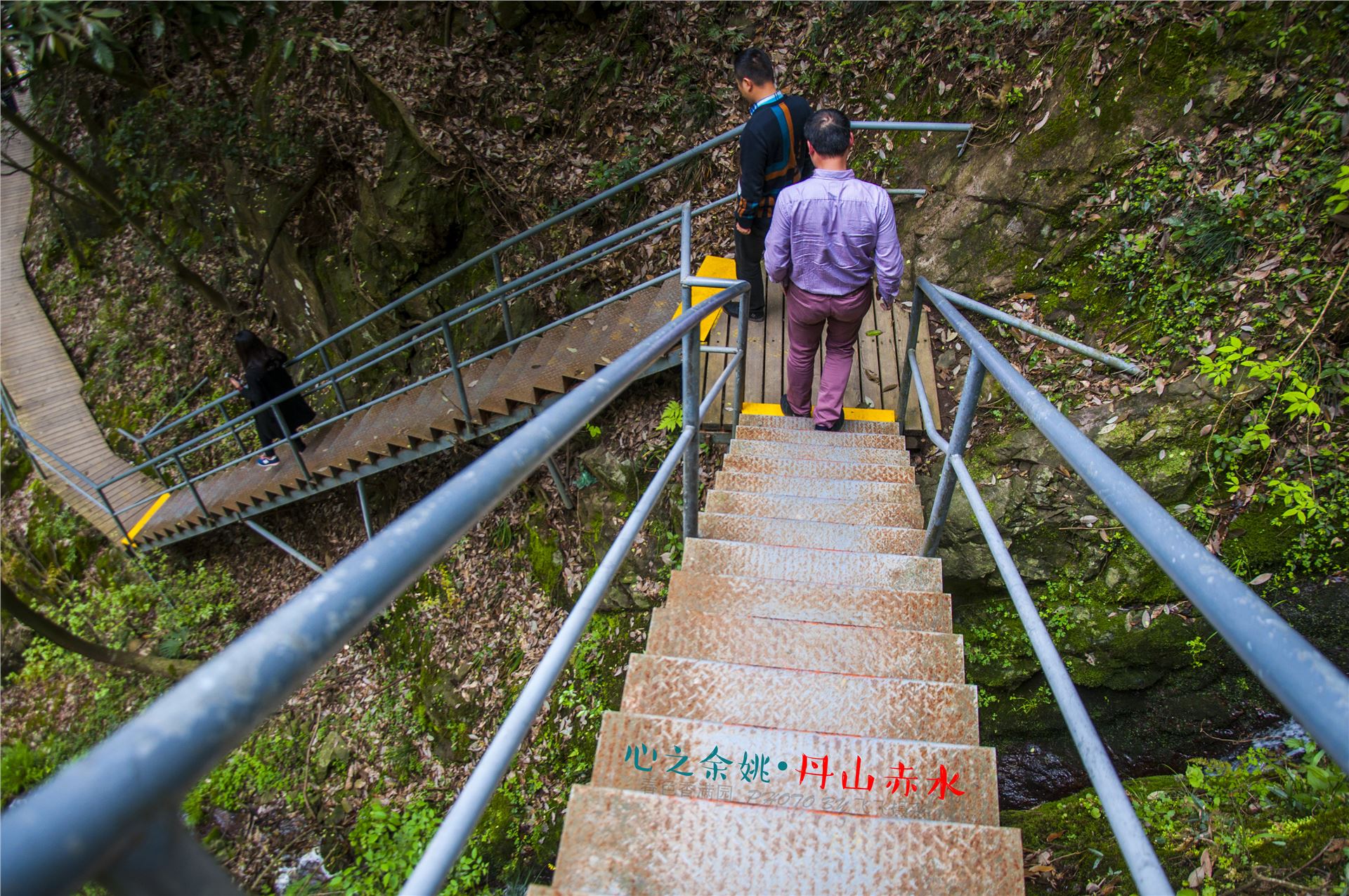丹山赤水的老柿林景区,丹山赤水柿林古村
