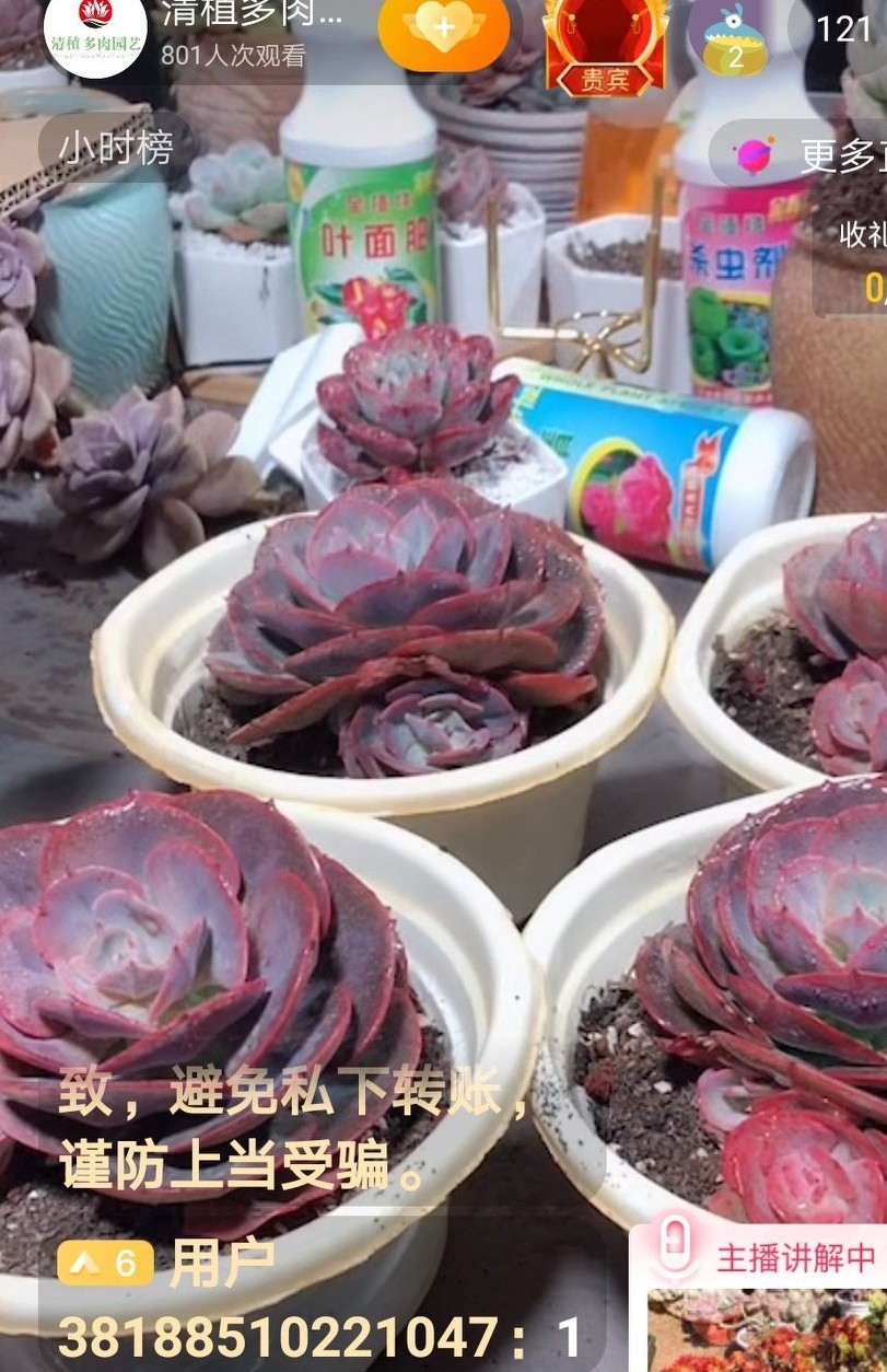 怎么办？怎么办？怎么办？入了直播的坑出不来了！