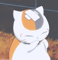 膝盖受伤冰敷好还是热敷好,腿受伤24小时内是冰敷还是热敷