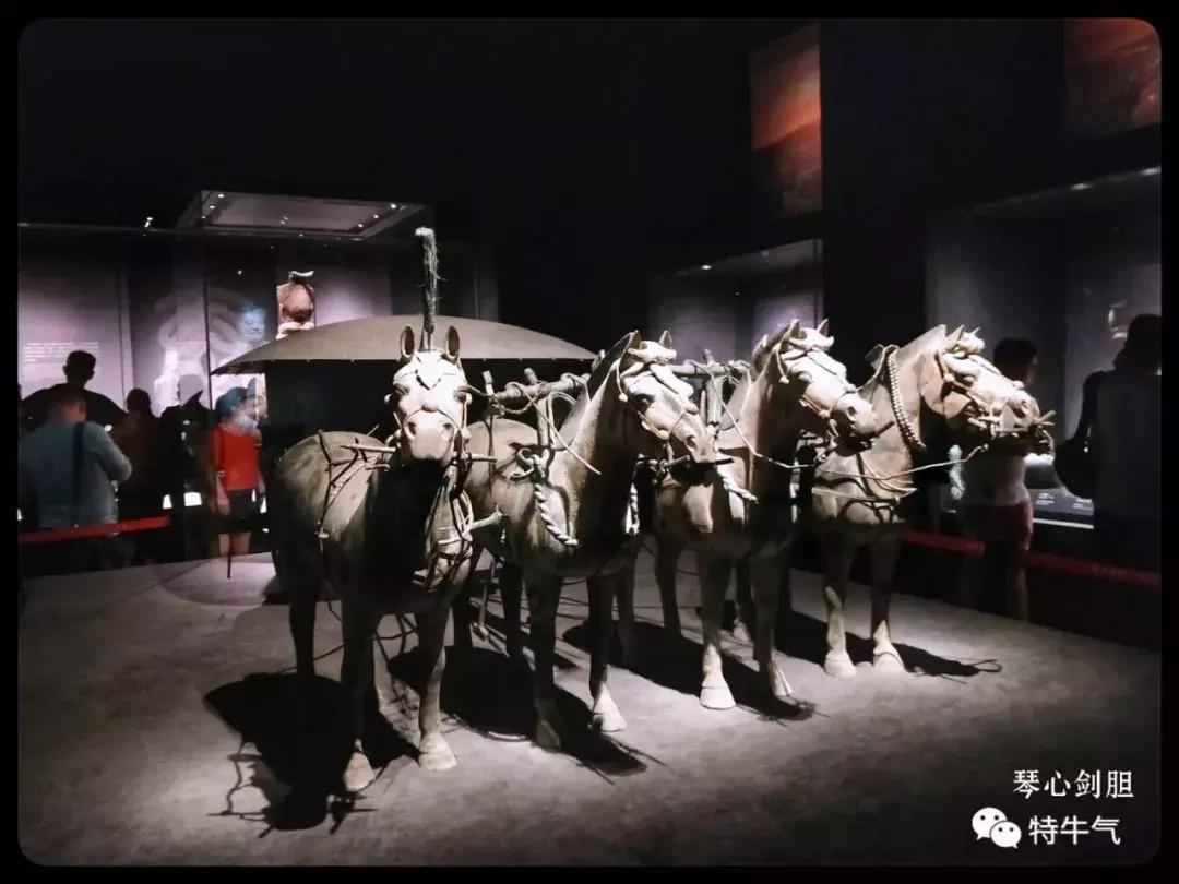 赤金走龙陕西历史博物馆,陕西历史博物馆抢票攻略