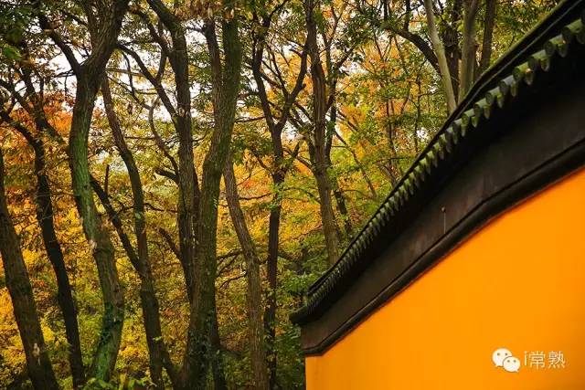 一入秋西安就美成长安,一入秋杭州就美成临安