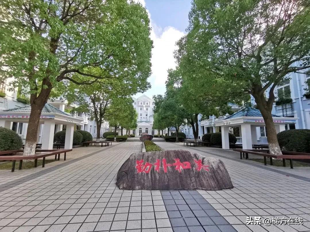 2021年上海市重点学校,上海2021新开33所学校