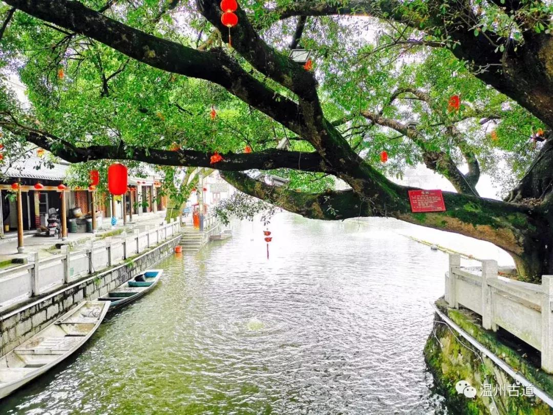 千年古村平阳县鸣山村古城夜景,平阳昆阳鸣山古村落