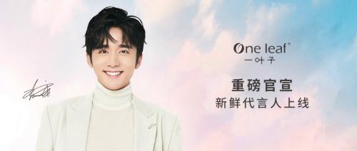 上美集团旗下一叶子独家冠名《冰糖炖雪梨》，官宣张新成为代言人