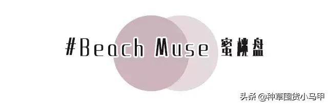 专柜出现假货新闻,专柜售假是真的吗