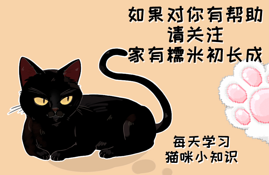 猫狗体外驱虫把虫驱到哪里去了,猫狗驱虫正确姿势