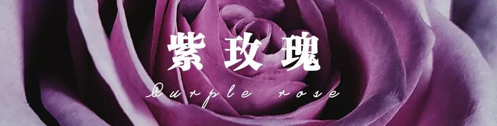 花店必备的5款玫瑰,花店最常用什么品种的玫瑰花