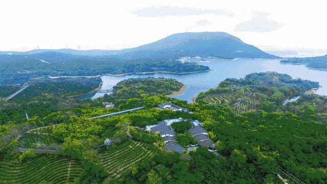 深圳东部华侨城两日自驾游,深圳东部华侨城两日游超详细攻略