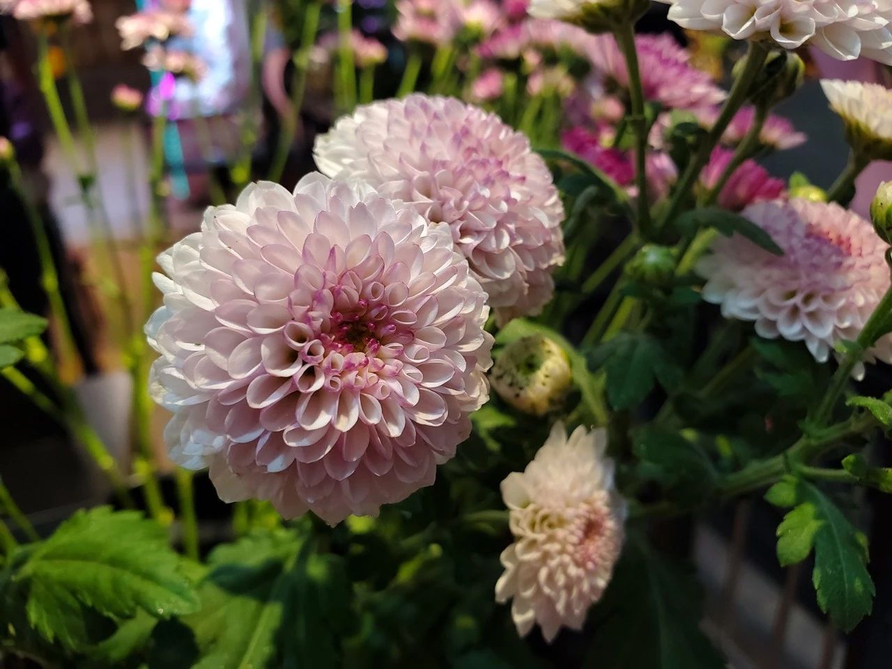 三星s10+全面测评,三星s10+国行上手测评