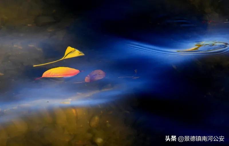 诗词丨10首秋水诗词：耐可乘流直上天