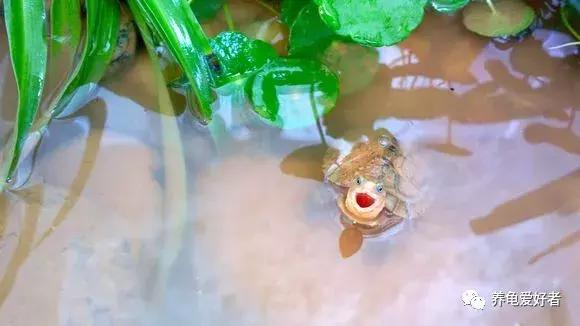 城镇化过程中应注意什么,城镇化的一般过程